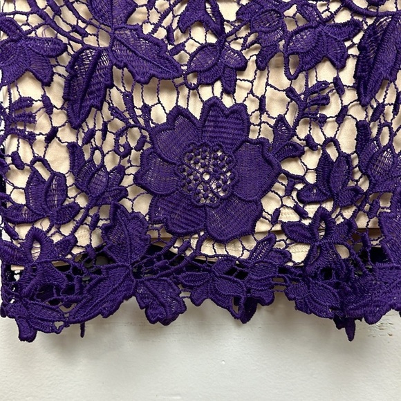Label by Five Twelve Purple Lace Detail Sleeveless Mini Dress Size 10 - Picture 5 of 9